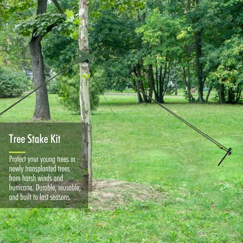 Vista 2 de Estacas y soportes para árboles, kit de estacas para árbol con correas para árboles y cuerda en patio al aire libre, 3 piezas de estabilizador