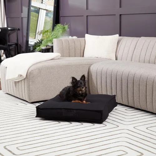 Vista 3 de Happy Hounds Milo - Cama acolchada cuadrada para perro, color negro, pequeña (24 x 24 pulgadas)