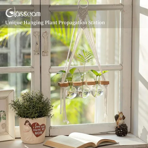 Vista 2 de Glasseam Estaciones de propagación de macramé colgantes: jarrones de propagación de vidrio para ventanas de pared para plantas hidropónicas