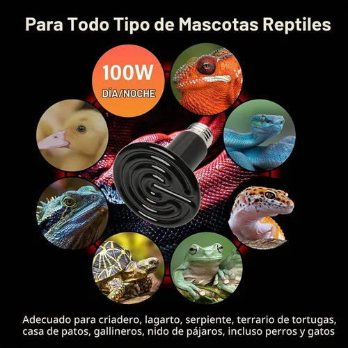 Vista 6 de HealSmart - Lámpara de calor para reptiles de 100 W, paquete de 2 unidades, emisor de calor de cerámica, sin emisión de luz, bombillas de calor