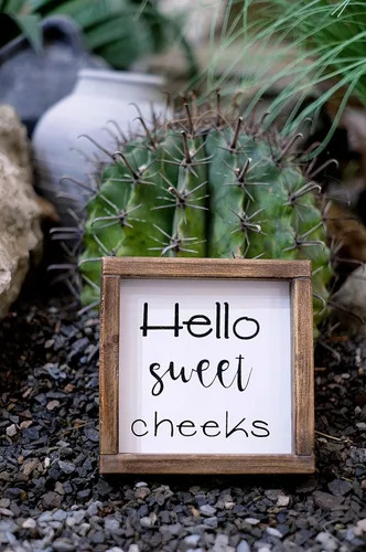Vista 6 de Lavender Inspired Letrero rústico de baño con texto en inglés «Hello Sweet Cheeks», divertida decoración de pared de baño, estante de granja