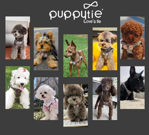 Vista 5 de Arnés sin tirones XS para perro con correa multifunción para perro, chaleco arnés suave y ajustable para mascota sin ahogo a prueba de escape