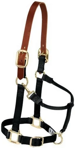 Vista 4 de Weaver Equine Breakaway Horse Halter, Supple Leather Crown, Adjustable Brass Throat Snap Halters for Horses, Equine Tack