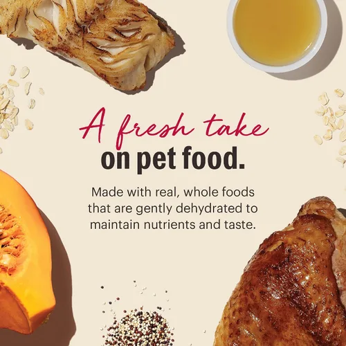 Vista 4 de The Honest Kitchen Alimento integral deshidratado de grado humano para perros, pavo integral y pescado blanco, 10 libras