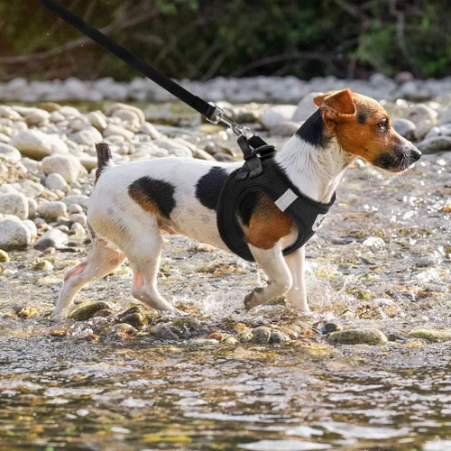 Vista 6 de PAWCHIE Juego de arnés y correa para cachorros, arnés de malla suave para perro, arnés reflectante y ajustable para perros pequeños a medianos