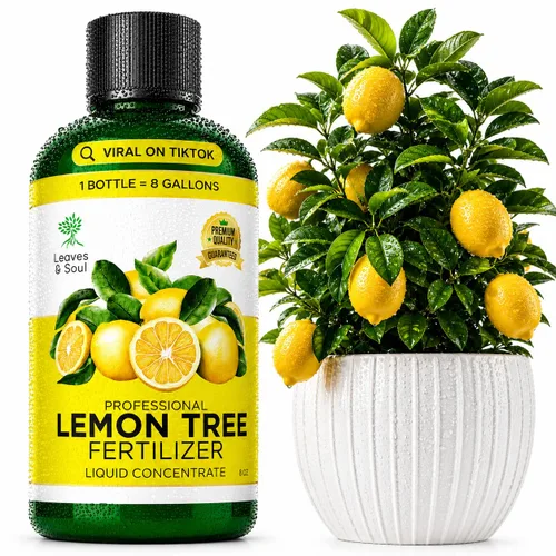 Vista 20 de Leaves & Soul Evergreen Tree Fertilizer, 6-4-6 Liquid Evergreen Food 8 oz Árbol de hoja perenne