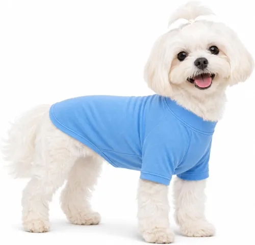 Vista 37 de Lovelonglong Sudadera para perro, otoño, invierno, clima frío, camisetas para perros pequeños, medianos y grandes, ropa de chihuahua, color negro, XS