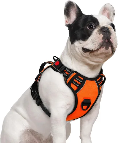 Vista 9 de rabbitgoo Arnés para perro de tamaño pequeño, arnés para mascotas sin tirones con mango acolchado suave, chaleco reflectante ajustable con 3