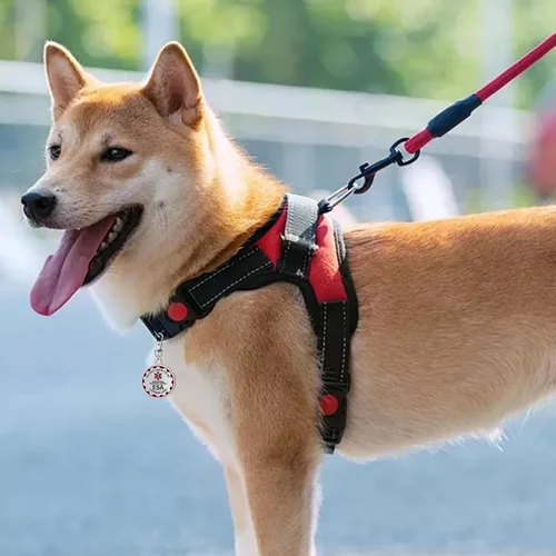 Vista 7 de Etiqueta de perro de apoyo emocional, etiqueta de identificación de metal para mascotas, etiqueta ESA, símbolo de alerta médica roja de doble cara