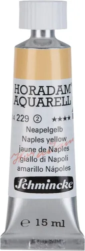 Vista 70 de Schmincke HORADAM AQUARELL ONETZ 0.2 fl oz,l 14031001 031 ONETZ