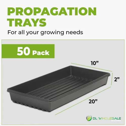 Vista 6 de DL Wholesale Bandejas 1020 con agujeros (paquete de 50) para bandejas de cultivo Microgreens, fabricadas en Estados Unidos, bandeja de propagación