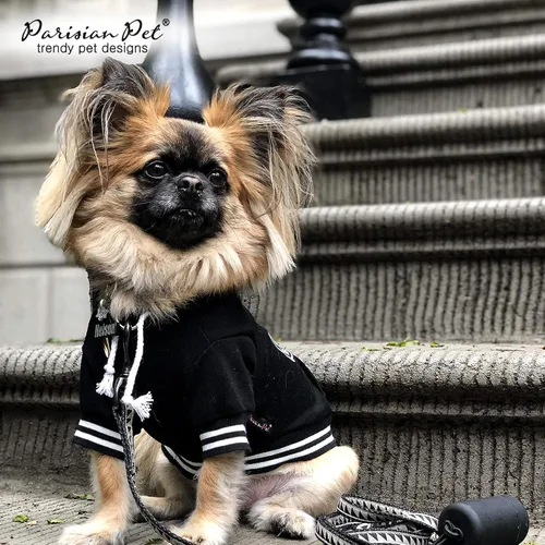 Vista 4 de Parisian Pet Sudadera básica con capucha para perro – Sudadera ligera estampada para perro – Sudadera con capucha para perros con agujero