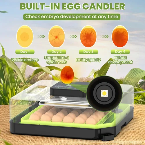 Vista 5 de Incubadora de 48 huevos para incubar huevos con giro automático de huevos, control de temperatura y humedad, incubadora de huevos con ventana