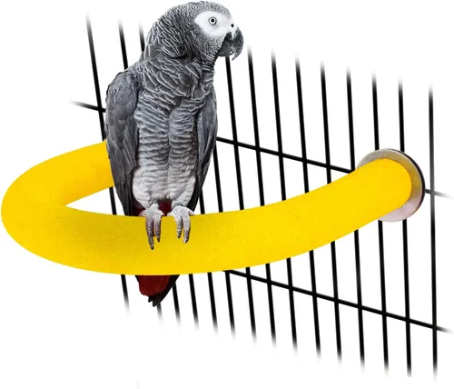 Vista 24 de Rypet Percha para Loros de Superficie Rugosa - Perchas de Arena de Cuarzo para Jaula de Pájaros para Pequeños Periquitos, Cacatúas, Conures