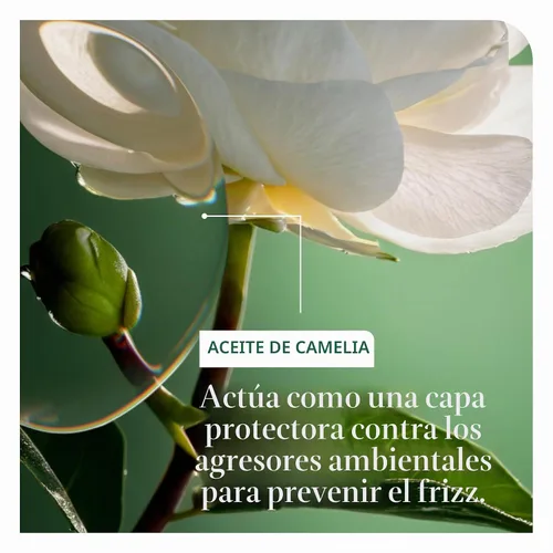 Vista 6 de Biolage Acondicionador a prueba de suavidad - Para cabello encrespado, 8 fl