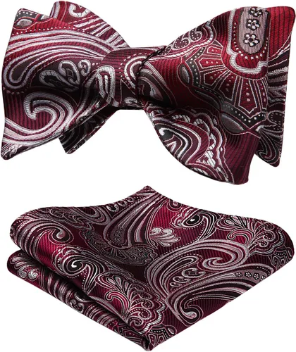 Vista 213 de HISDERN Pajaritas para hombre, corbatín de cachemira para hombre, corbata de lazo y bolsillo cuadrado, juego formal de esmoquin para boda