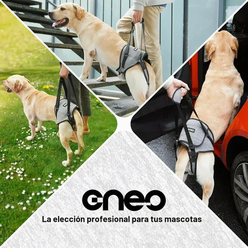 Vista 6 de Arnés de elevación para perros CNEO - Soporte ajustable para perros medianos y grandes, diseño cómodo con patas traseras acolchadas para perros