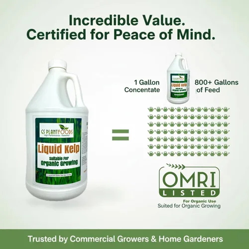 Vista 3 de GS Plant Foods Fertilizante Líquido de Kelp – Adecuado para Cultivo Orgánico, Concentrado de Algas Marinas Listado por OMRI para Césped, Jardines