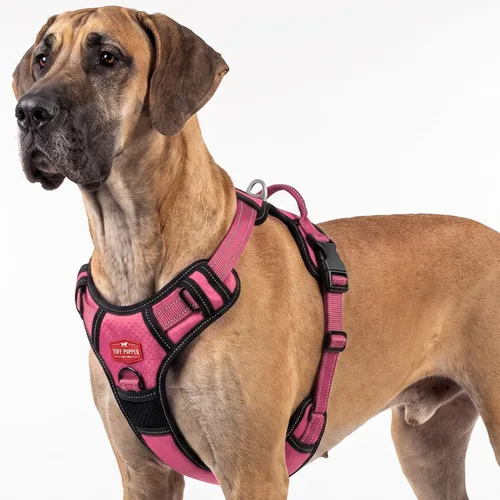 Vista 12 de Tuff Pupper Arnés para perro sin tirones, chaleco resistente para mascotas, clips para correa delantera y trasera, mango de seguridad fuerte