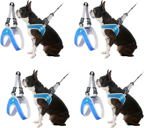 Vista 9 de Gooby Simple Step in III - Arnés para perro, verde, extra pequeño - Arnés para perros pequeños con chaqueta exterior resistente a los rasguños