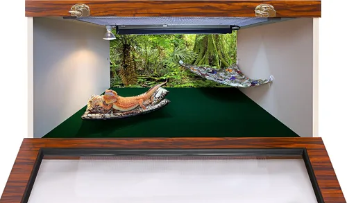 Vista 2 de Fondo de hábitat de reptiles, bosque lluvioso, 15.75 "x 36