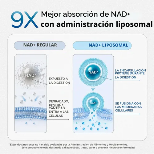 Vista 8 de Selerb Suplementos NAD+ para hombres y mujeres