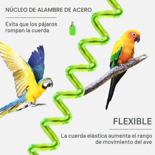 Vista 5 de Correa voladora de loro, cuerda de entrenamiento de 16.4 pies con anillo de pie de pájaro de 3 tamaños, cuerda elástica antimordeduras para Azul