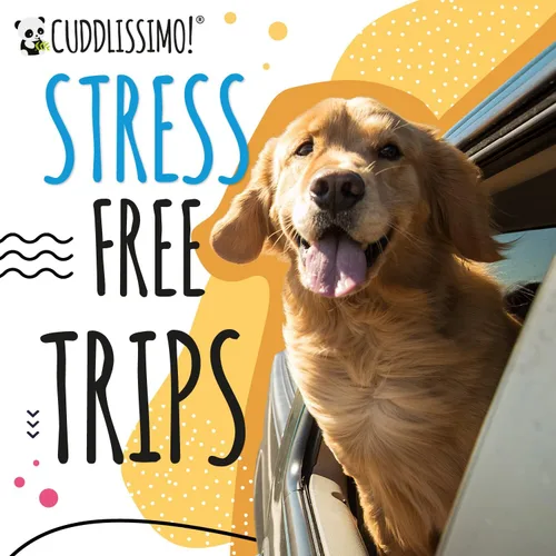 Vista 9 de Cuddlissimo! Portaequipajes para mascotas - Tamaño cuidadosamente calculado para cachorros y gatos de raza taza de té y juguete (menos de 6 libras)