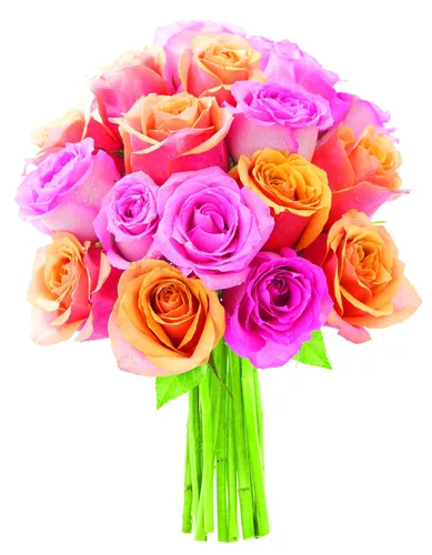 Vista 5 de KaBloom - Rosas arcoíris (media docena)- Flores frescas para cumpleaños, San Valentín y Día de la Madre
