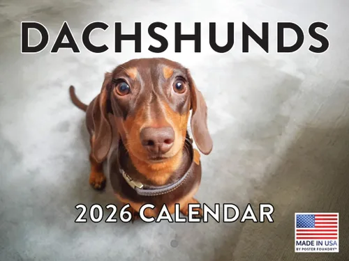 Vista 169 de Calendario mensual de pared Airedale Terrier Dog 2027 rojo (Airedale Terrier)