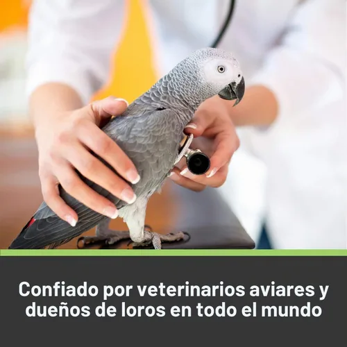 Vista 4 de Hari Hagen Tropimix - Alimento enriquecedor para loros pequeños, 20 libras (20.0 lbs) - HARI Alimento para loros pequeños con semillas, frutas