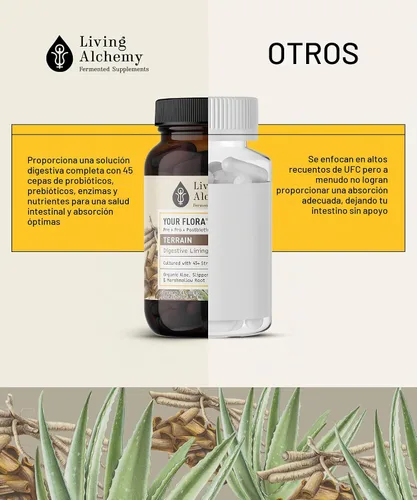 Vista 10 de Living Alchemy Your Flora Probiotic Terrain, vegano, sin OMG, 60 piezas