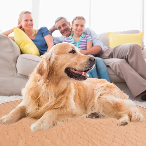 Vista 5 de almohadilla lavable para cachorro 36 pulgadas 36-inch round washable waterproof pee pad, reusable slip-resistant mat for dog potty training and