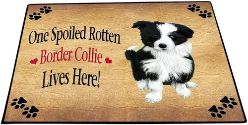 Vista 39 de Doggie of the Day Border Collie Dogs Floor Mat - 4th of July Independence Day - Best Dog Doormat - Protector Decor - Unique Portrait Art - Premium