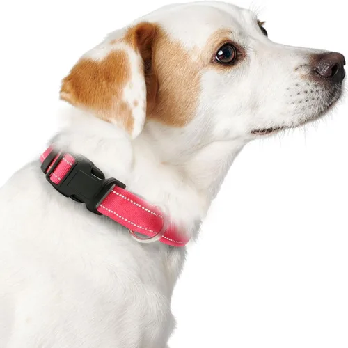 Vista 2 de Collar para perro con hebilla, de nailon transpirable, reflectante, ajustable, para perros pequeños, medianos y grandes, color rosa intenso, grande