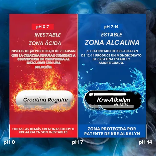 Vista 5 de EFX Sports Kre-Alkalyn Hardcore Suplemento termogénico de monohidrato de creatina con pH correcto, energía y fuerza, preentrenamiento 40