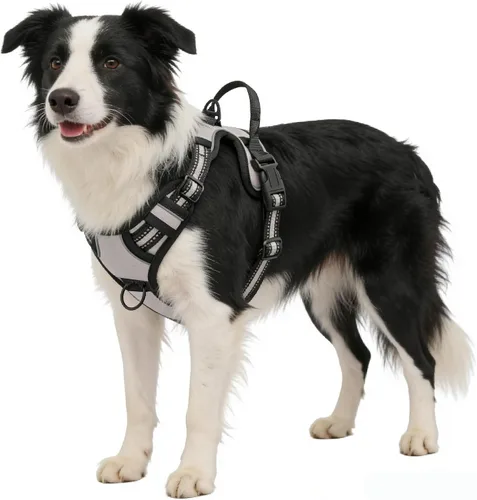 Vista 18 de Arnés negro reflectante sin tirones para perro con 2 clips para correa, chaleco acolchado suave para perros pequeños, fácil de poner y quitar