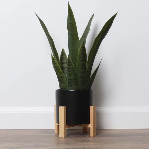 Vista 7 de Planta artificial de serpiente con soporte para plantas de mediados de siglo, planta Sansevieria en maceta moderna, plantas artificiales con soporte
