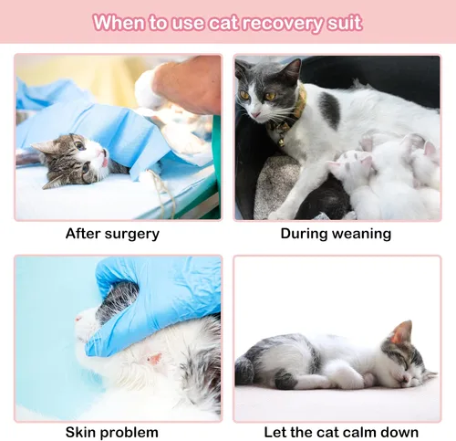 Vista 4 de PUMYPOREITY Traje de recuperación de gato – Mameluco de gatito para castrado/herida abdominal/daño en la piel/destete, azul, XS
