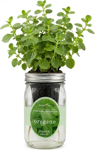 Vista 10 de Kit de Cultivo Hidropónico, Kit de Inicio de Jardín de Hierbas en Frasco Mason con Autoriego para Interiores, Jardín de Hierbas para Alféizar