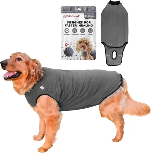 Vista 14 de Traje de Recuperación Quirúrgica BellyGuard para Perros, Mameluco para Perros para Cuidado Post-Operatorio, Ropa de Recuperación para Perros Hembra
