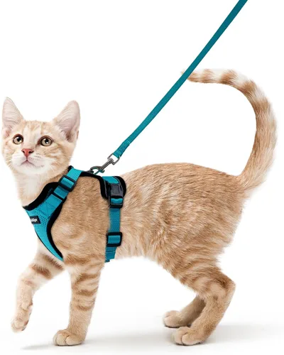 Vista 15 de rabbitgoo Cat Harness and Leash Set, Escape Proof Vest, XXS, Berry Pounce Soft Breathable Mesh, No-choke Adjustable Fit, Snap Buckles, Sturdy
