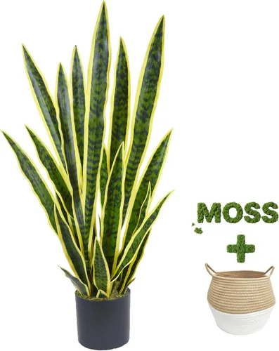 Vista 2 de Warmplants Planta de serpiente artificial de 3 pies Sansevieria falsa con Amarillo