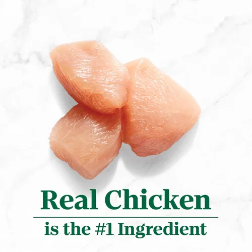 Vista 4 de Nutro So Simple Complemento de comida húmeda para perros, receta de pollo en caldo de huesos, bandejas de 2 onzas (10 unidades, paquete de 1)