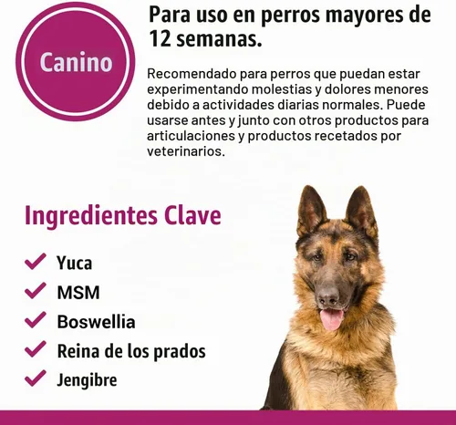 Vista 5 de Vet Classics Pain Plus Suplemento extra fuerte para perros - 120 tabletas
