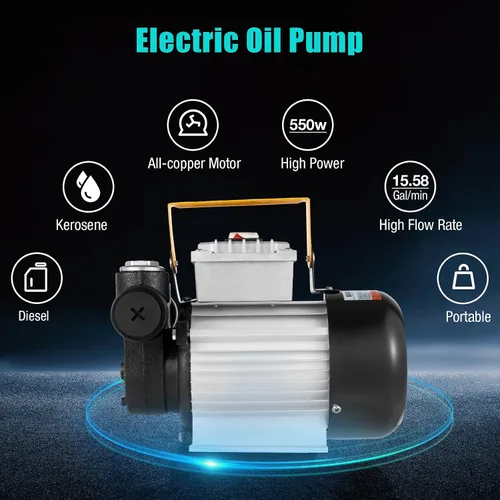 Vista 2 de Bomba de aceite eléctrica autocebante de 110 V CA, bomba de transferencia de combustible de 550 W, bombas de biodiésel de queroseno diésel