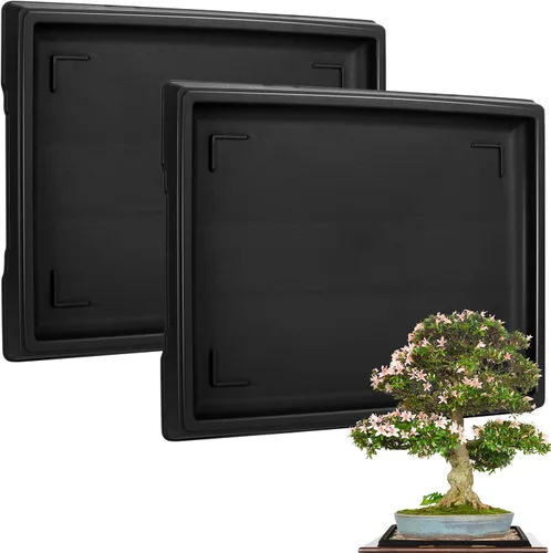 Vista 8 de Pinkunn 2 Piezas Bandeja de Humedad para Bonsái Bandeja de Goteo Plásticas Captador de Agua para Plantas Platillos para Interiores y Exteriores