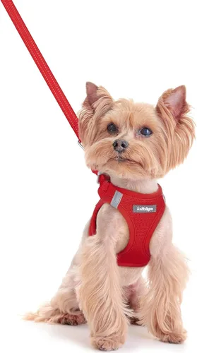 Vista 201 de rabbitgoo Arnés para perro de tamaño pequeño y juego de correa, chaleco Cachorros de manzana