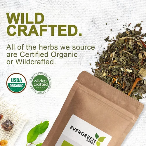 Vista 4 de Evergreen Herbs Bolsas de té (Cinchona) – Bolsa de pie resellable para garantizar la frescura