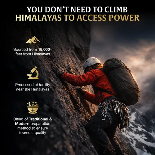 Vista 7 de HANDPICK, Gomitas Shilajit puras del Himalaya (60 gomitas) Alta potencia para hombres y mujeres Minerales esenciales de traza, 75% más de ácido